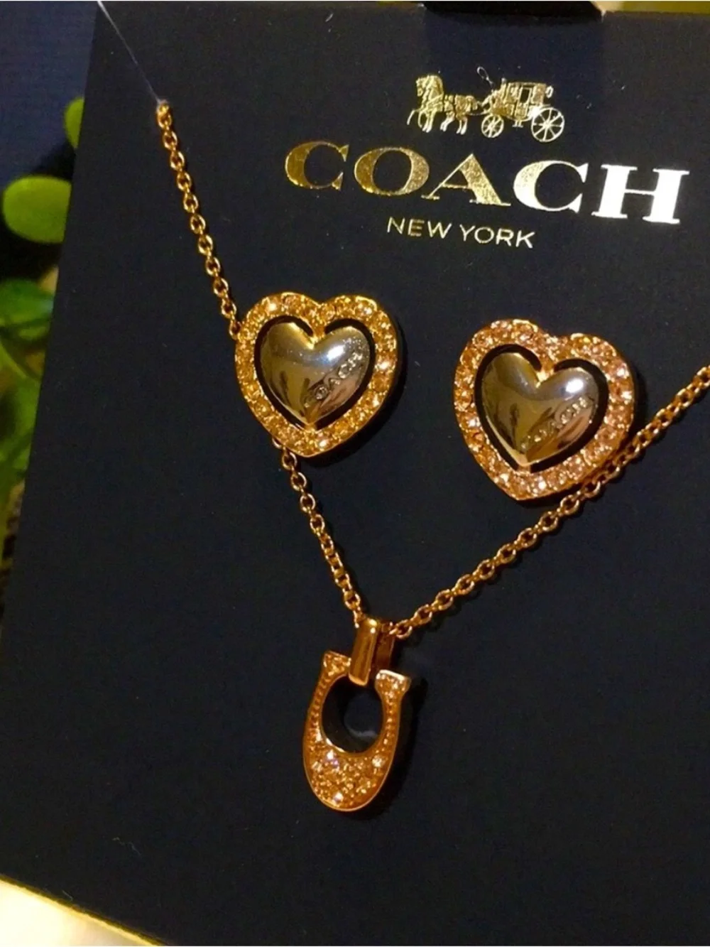 🐴Coach® Stunning Rose Gold Necklace Set🐴